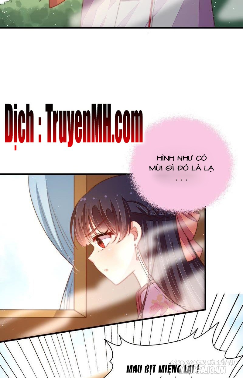 Ngày Nào Thiếu Soái Cũng Ghen Chapter 230 - Trang 2