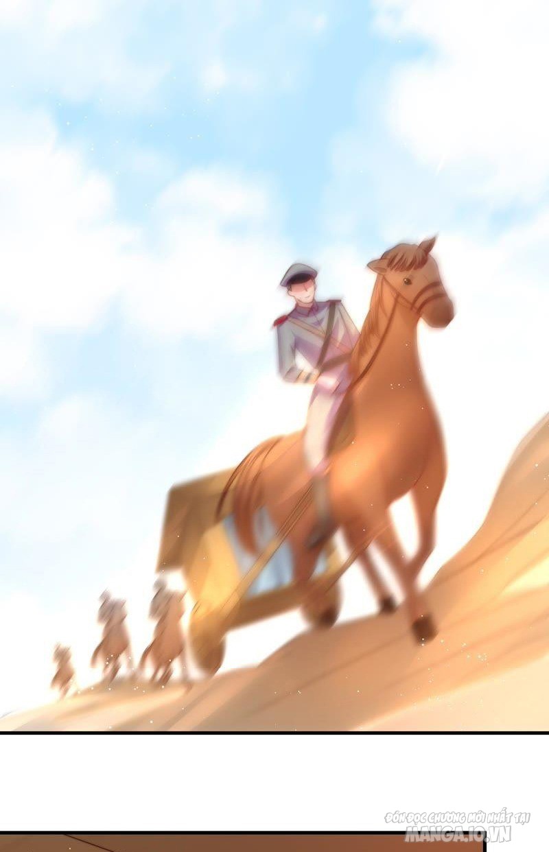 Ngày Nào Thiếu Soái Cũng Ghen Chapter 230 - Trang 2