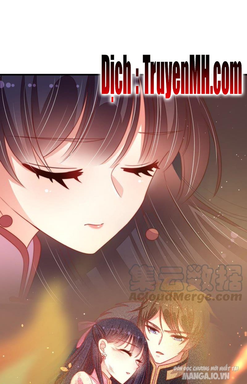 Ngày Nào Thiếu Soái Cũng Ghen Chapter 230 - Trang 2