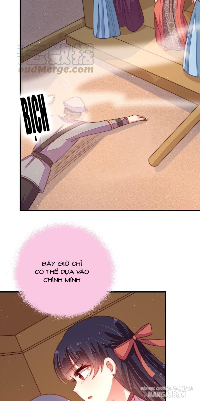 Ngày Nào Thiếu Soái Cũng Ghen Chapter 231 - Trang 2