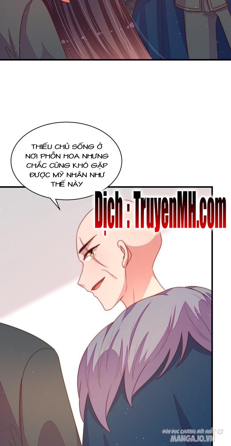 Ngày Nào Thiếu Soái Cũng Ghen Chapter 232 - Trang 2