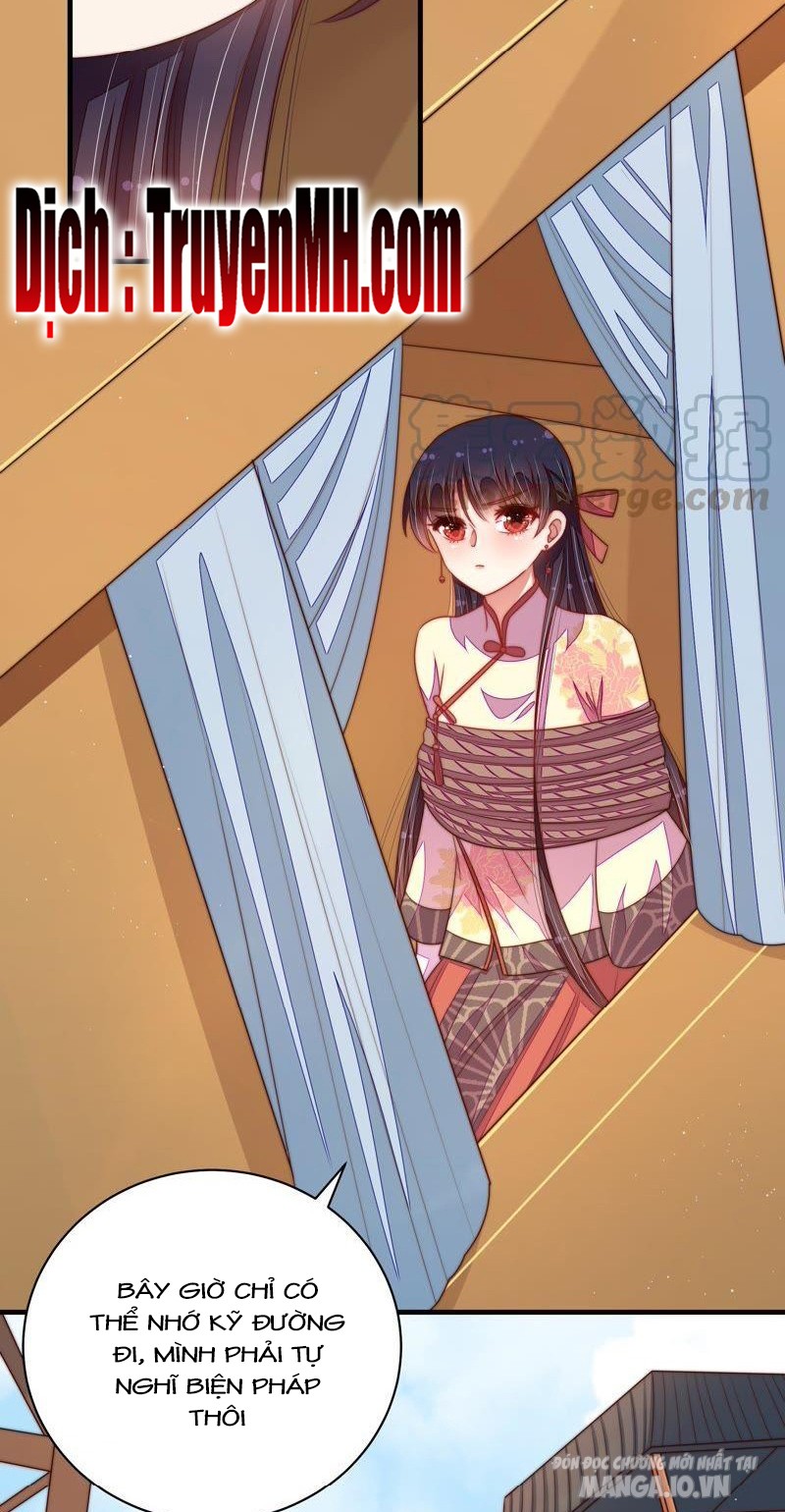 Ngày Nào Thiếu Soái Cũng Ghen Chapter 232 - Trang 2