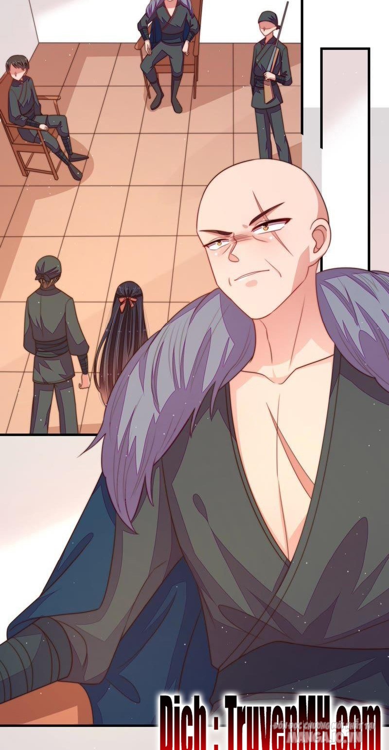 Ngày Nào Thiếu Soái Cũng Ghen Chapter 232 - Trang 2