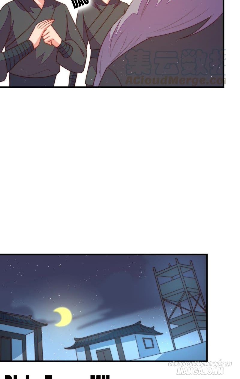 Ngày Nào Thiếu Soái Cũng Ghen Chapter 233 - Trang 2