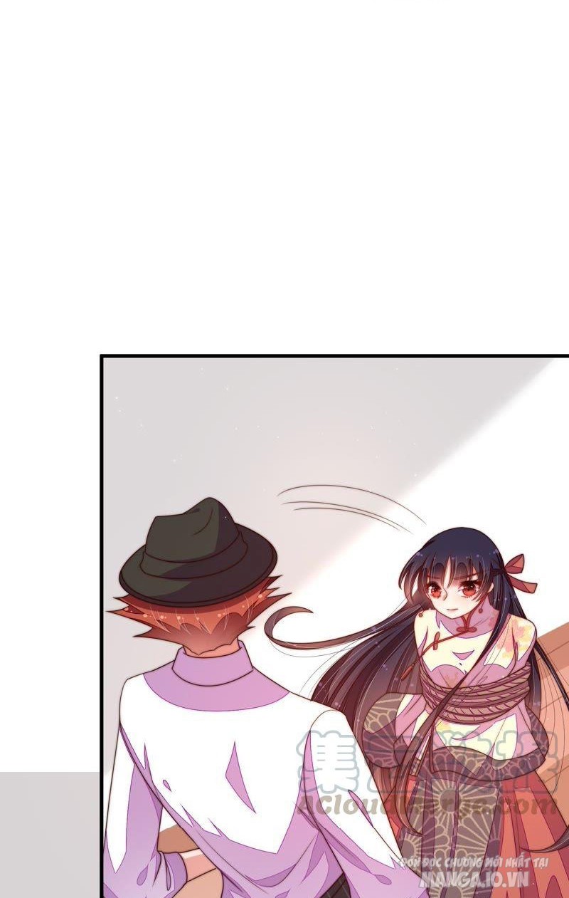 Ngày Nào Thiếu Soái Cũng Ghen Chapter 233 - Trang 2