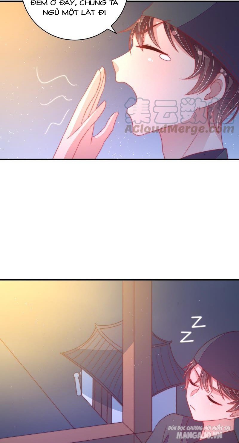 Ngày Nào Thiếu Soái Cũng Ghen Chapter 237 - Trang 2