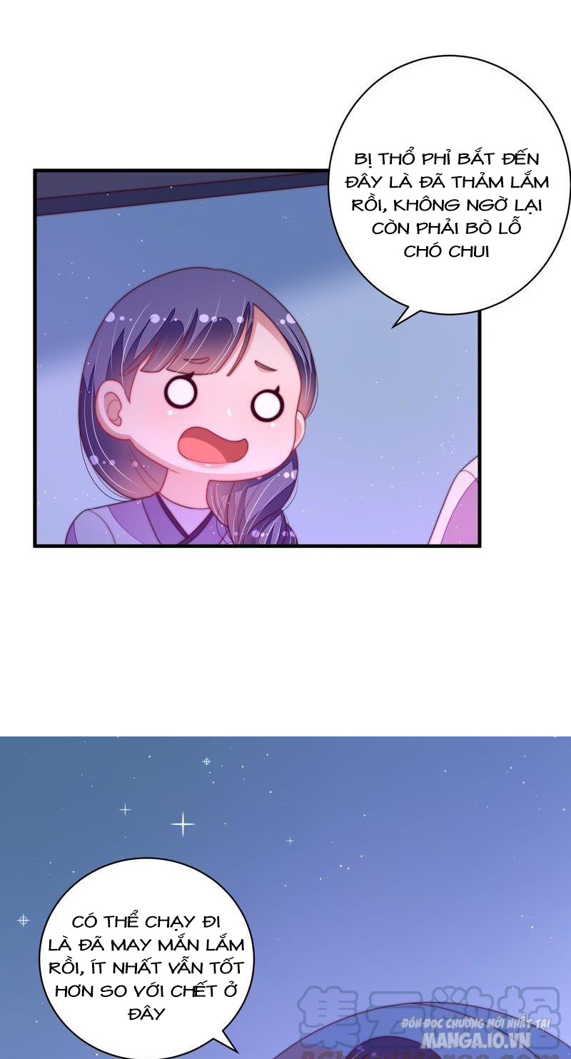 Ngày Nào Thiếu Soái Cũng Ghen Chapter 237 - Trang 2