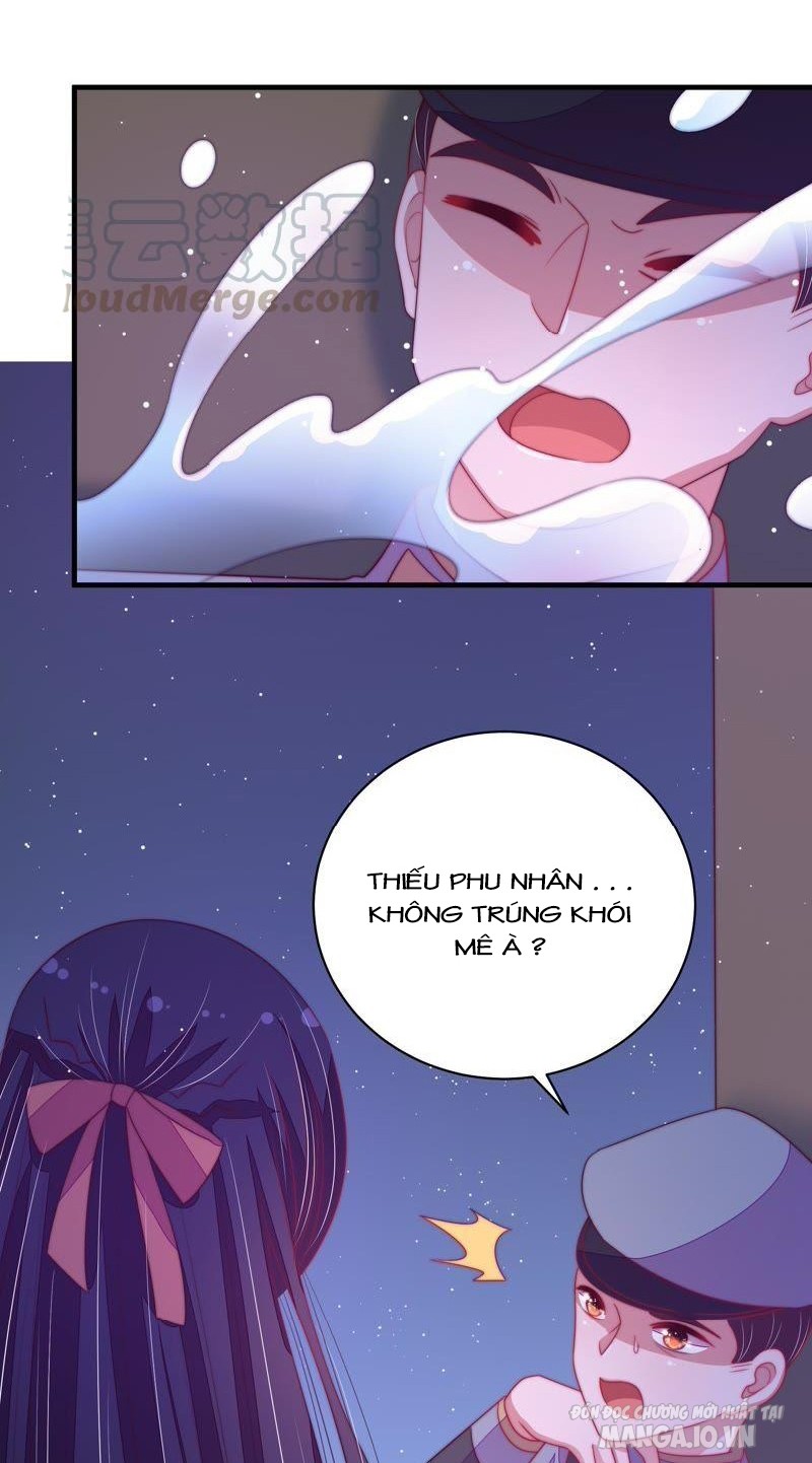 Ngày Nào Thiếu Soái Cũng Ghen Chapter 238 - Trang 2