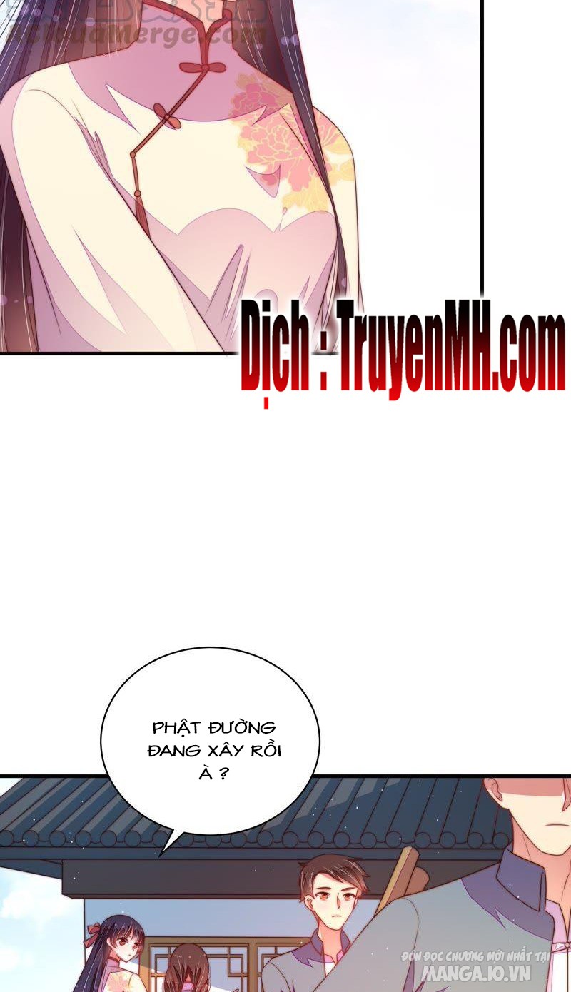 Ngày Nào Thiếu Soái Cũng Ghen Chapter 239 - Trang 2