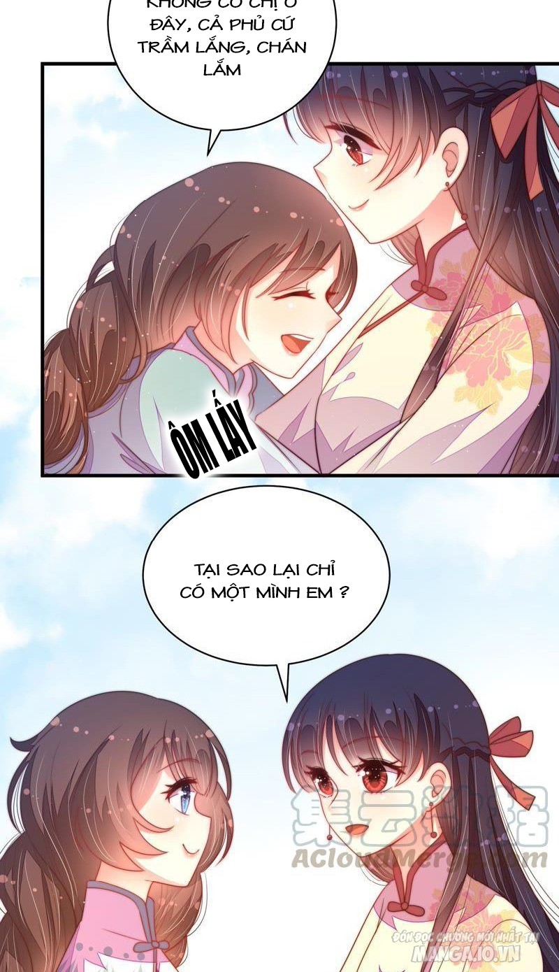 Ngày Nào Thiếu Soái Cũng Ghen Chapter 239 - Trang 2