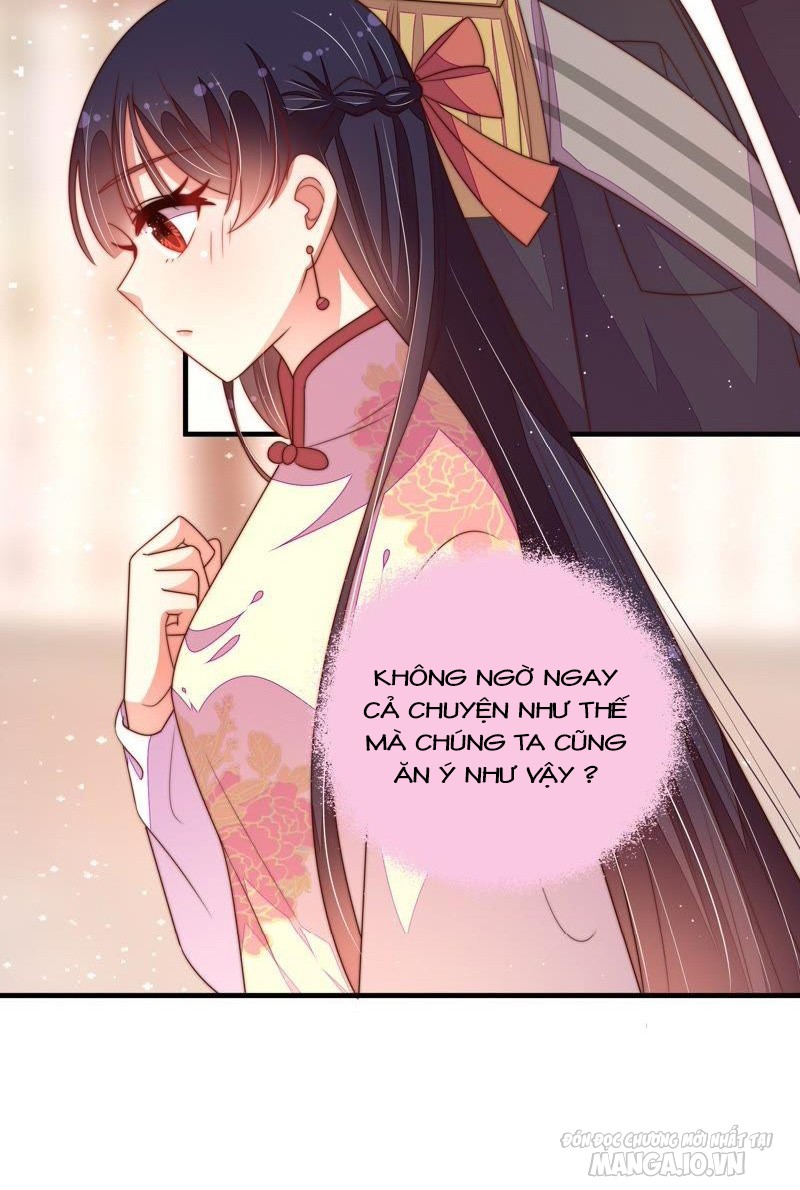 Ngày Nào Thiếu Soái Cũng Ghen Chapter 242 - Trang 2