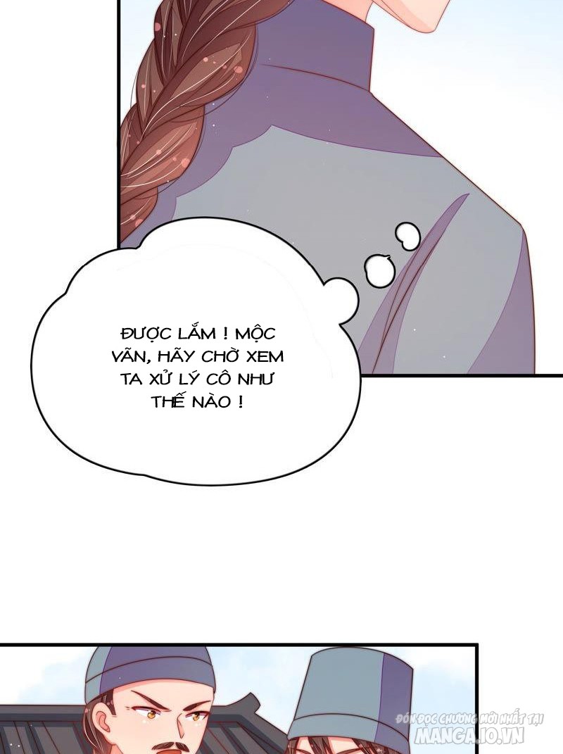 Ngày Nào Thiếu Soái Cũng Ghen Chapter 245 - Trang 2