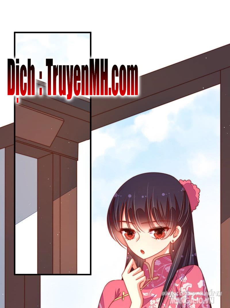 Ngày Nào Thiếu Soái Cũng Ghen Chapter 245 - Trang 2