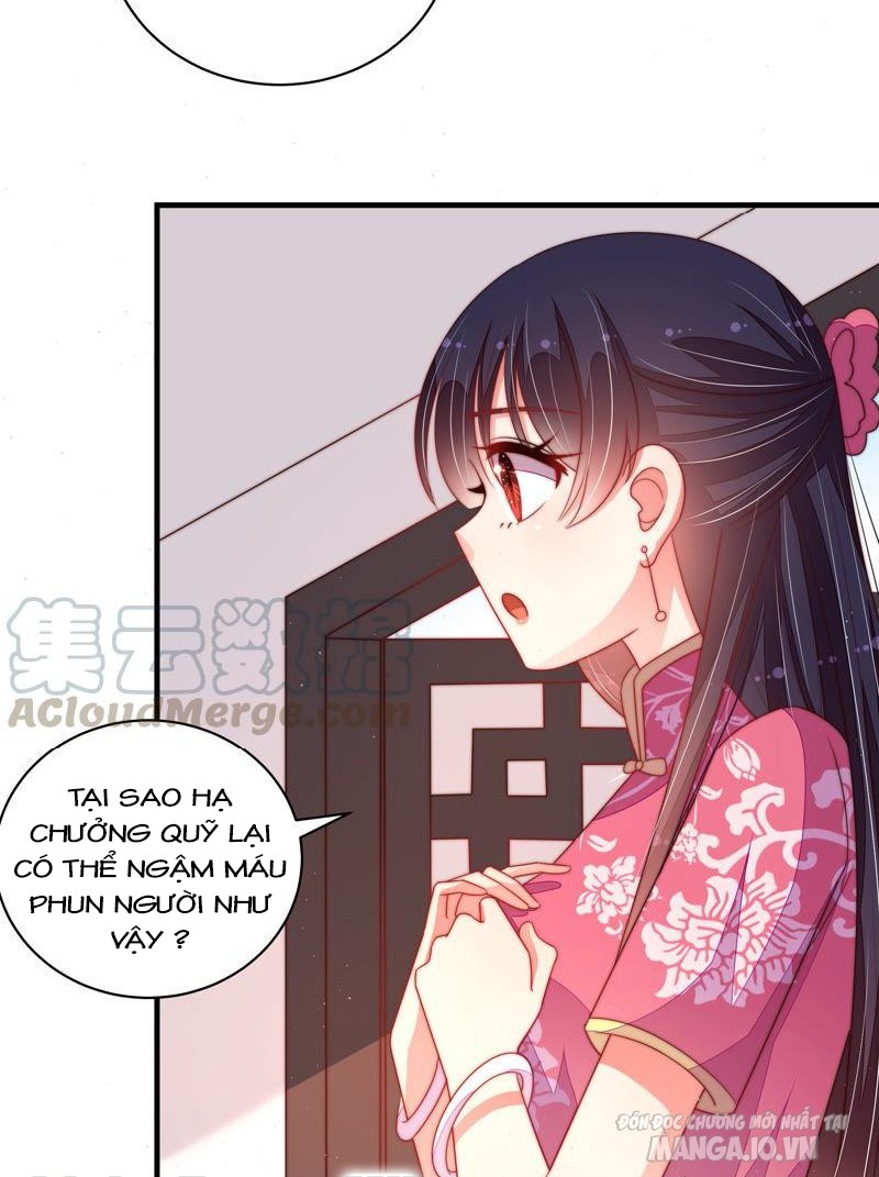 Ngày Nào Thiếu Soái Cũng Ghen Chapter 245 - Trang 2