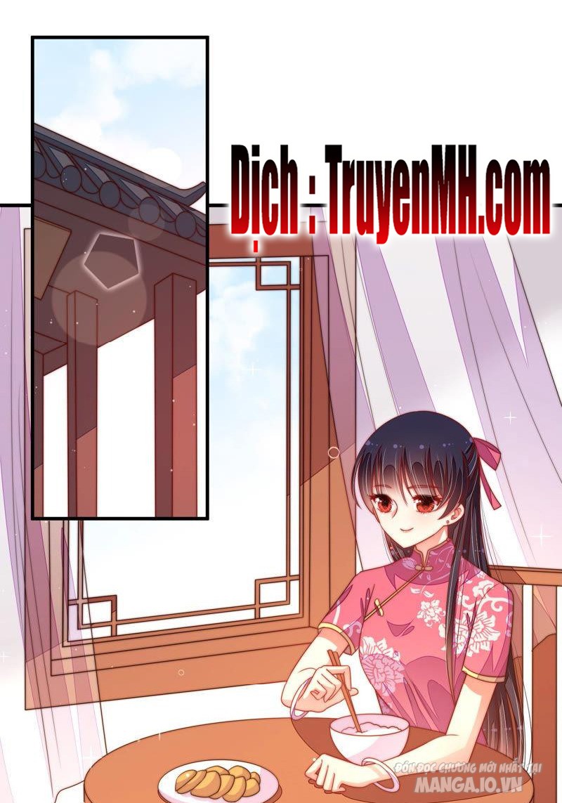 Ngày Nào Thiếu Soái Cũng Ghen Chapter 247 - Trang 2