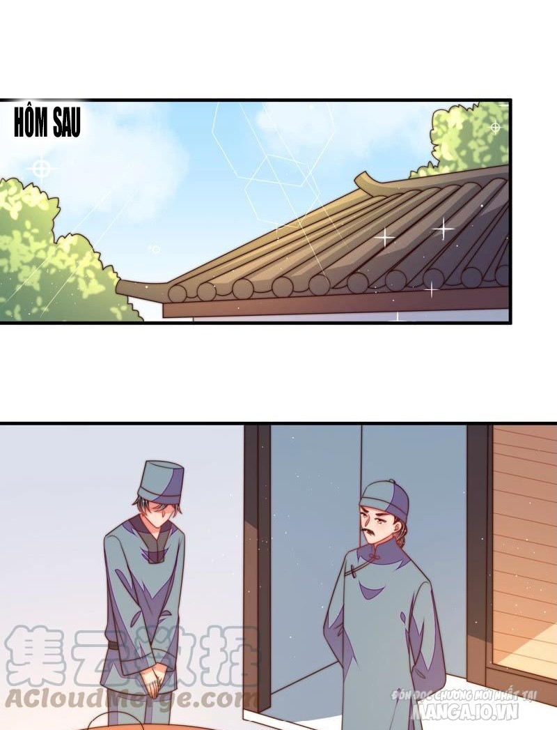 Ngày Nào Thiếu Soái Cũng Ghen Chapter 249 - Trang 2