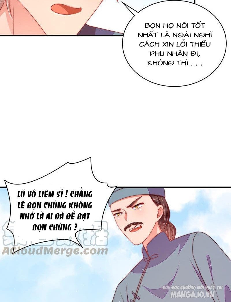 Ngày Nào Thiếu Soái Cũng Ghen Chapter 249 - Trang 2