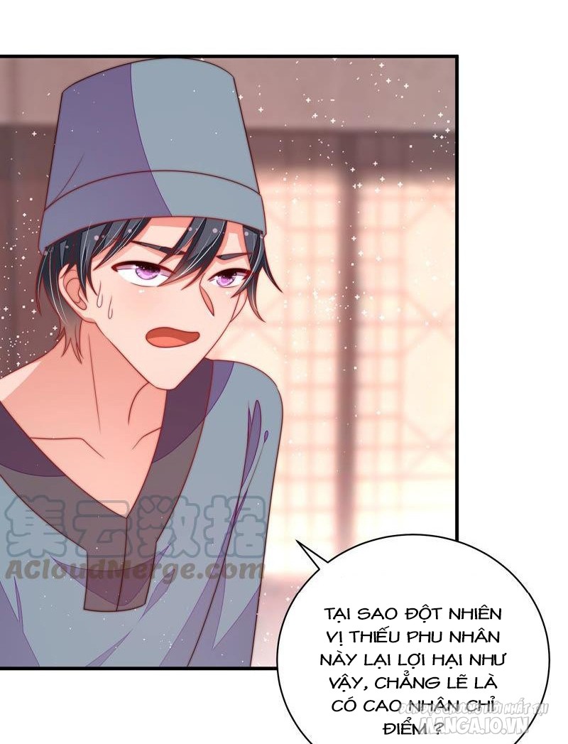 Ngày Nào Thiếu Soái Cũng Ghen Chapter 249 - Trang 2