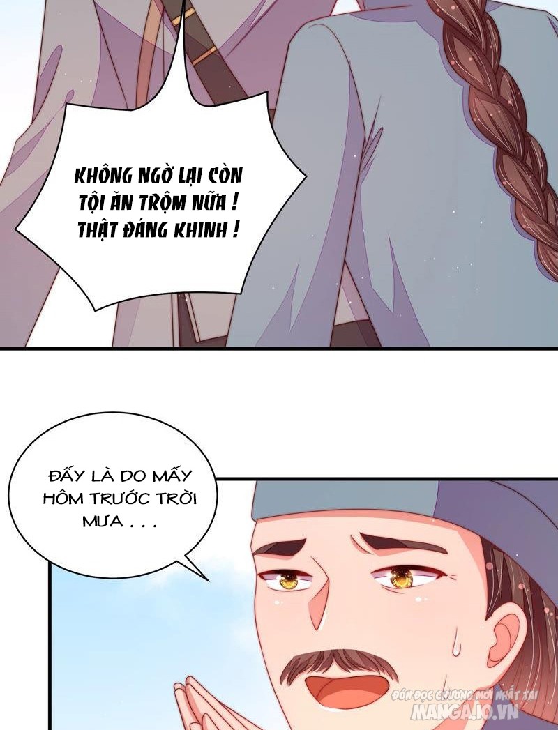 Ngày Nào Thiếu Soái Cũng Ghen Chapter 251 - Trang 2