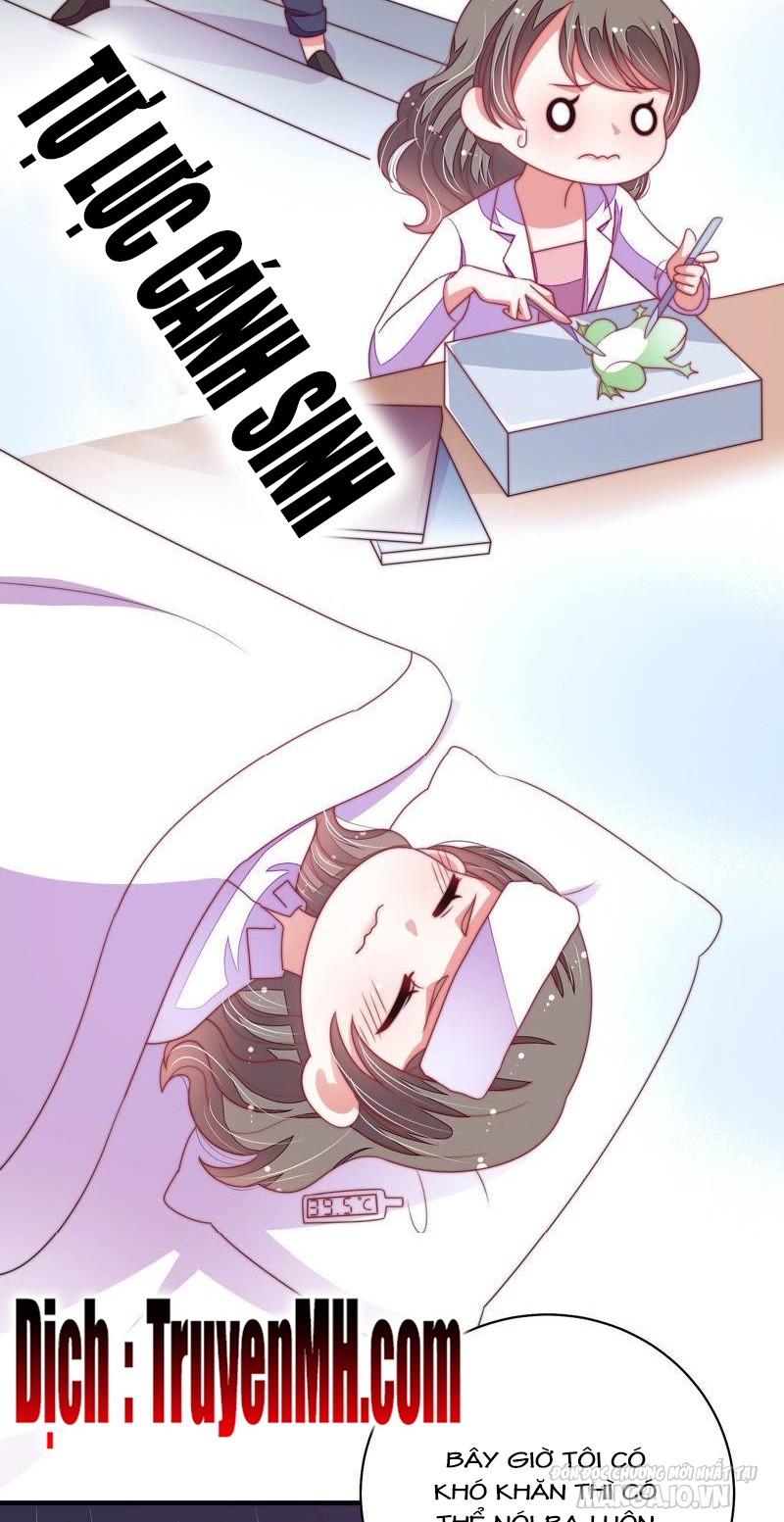 Ngày Nào Thiếu Soái Cũng Ghen Chapter 254 - Trang 2