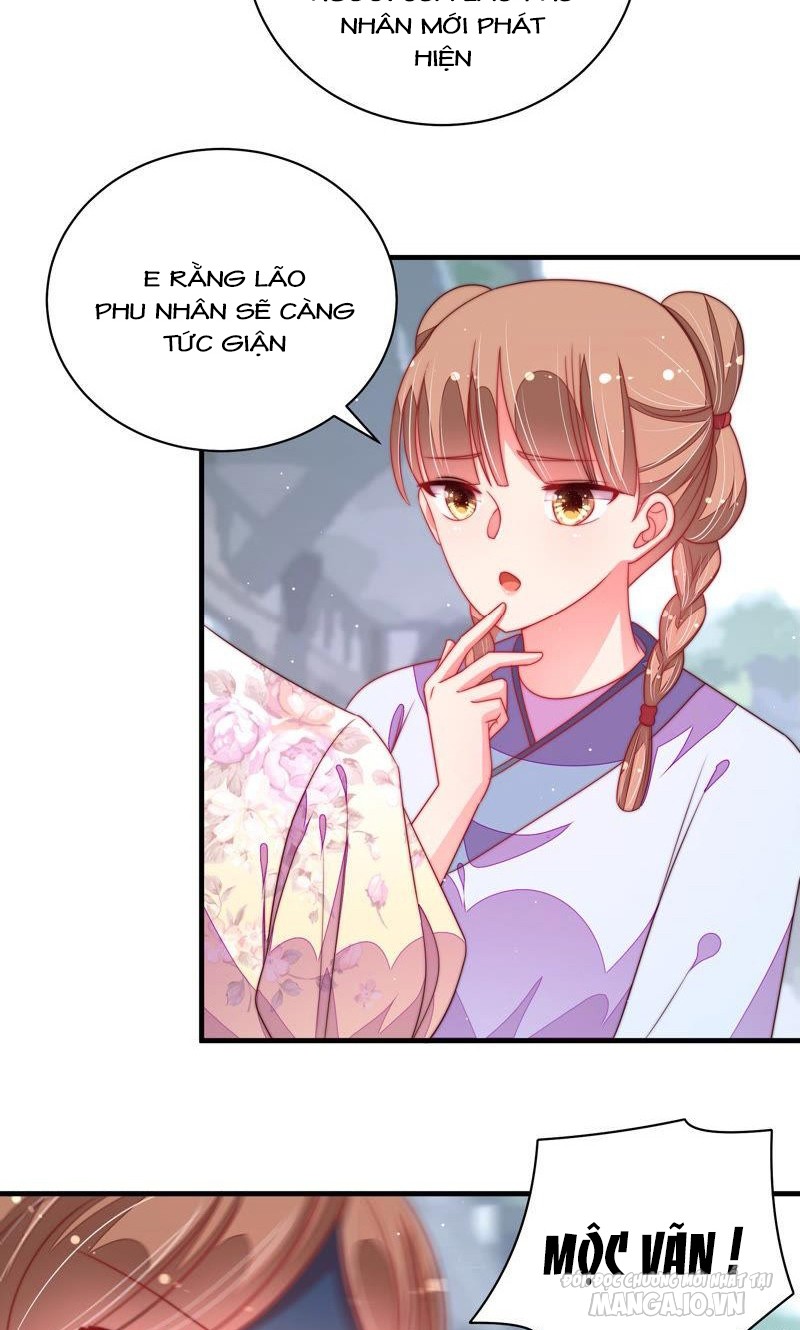 Ngày Nào Thiếu Soái Cũng Ghen Chapter 256 - Trang 2