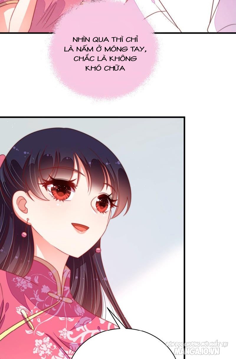 Ngày Nào Thiếu Soái Cũng Ghen Chapter 260 - Trang 2