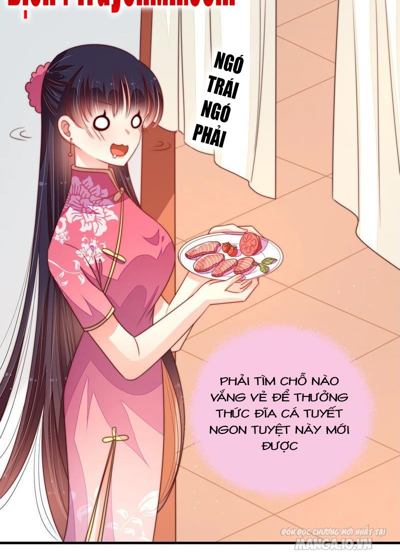 Ngày Nào Thiếu Soái Cũng Ghen Chapter 261 - Trang 2