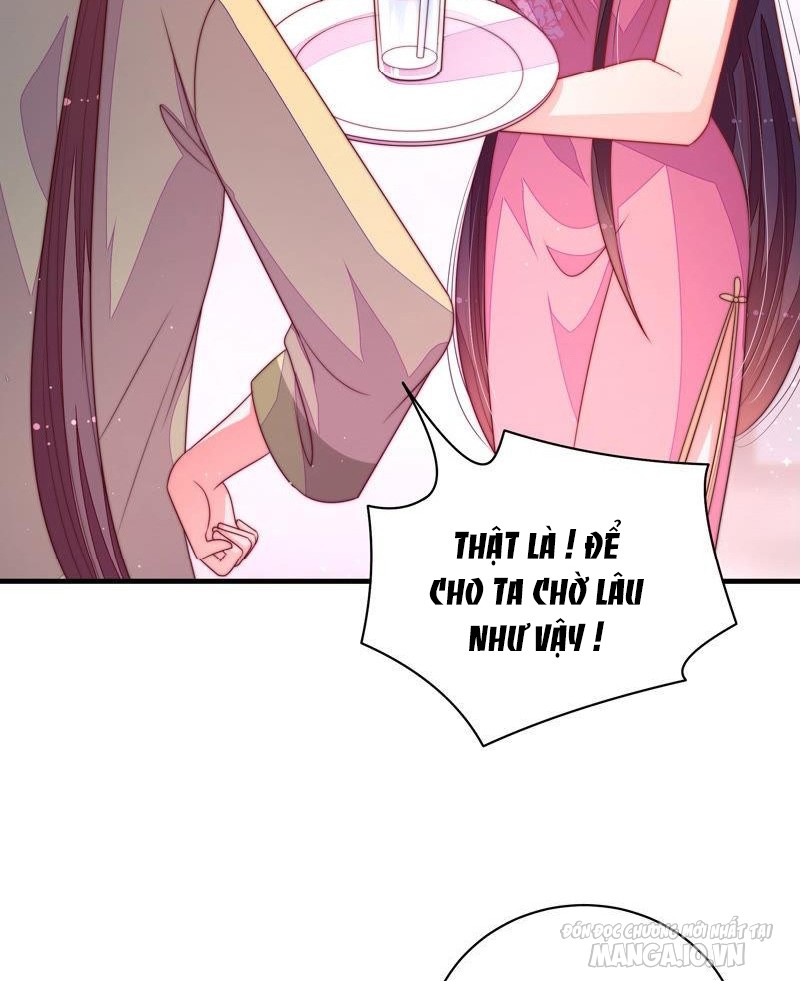 Ngày Nào Thiếu Soái Cũng Ghen Chapter 262 - Trang 2