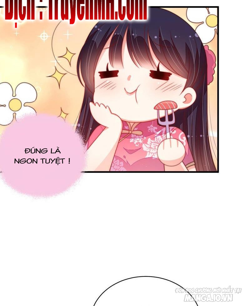 Ngày Nào Thiếu Soái Cũng Ghen Chapter 262 - Trang 2