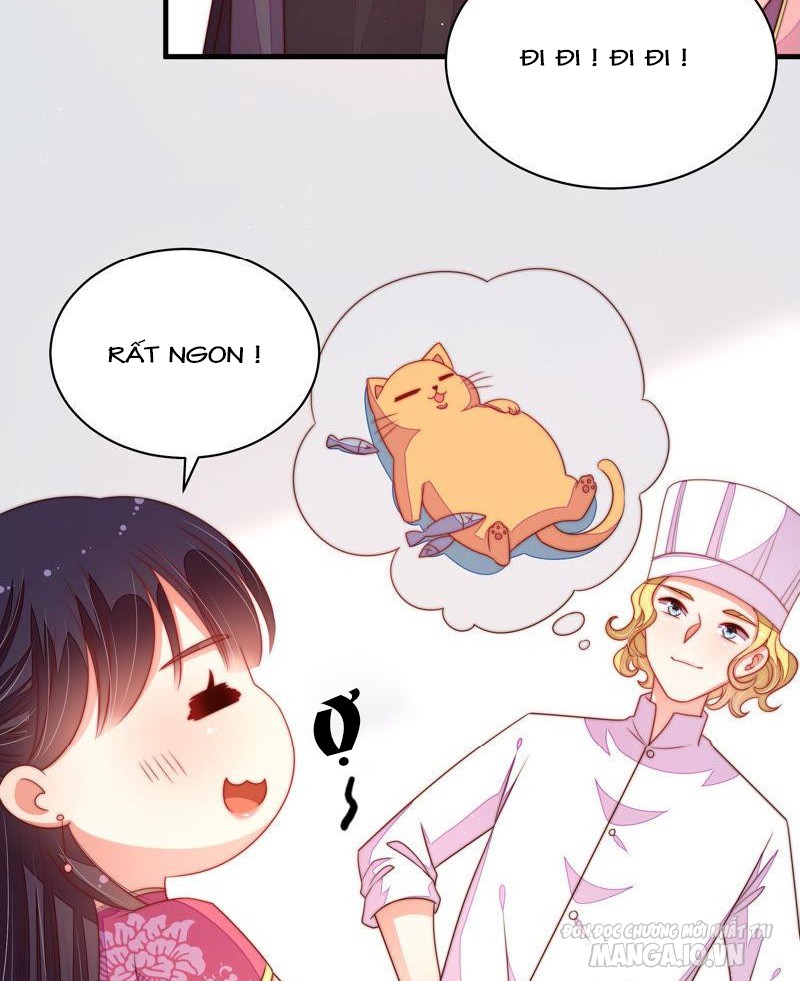 Ngày Nào Thiếu Soái Cũng Ghen Chapter 262 - Trang 2