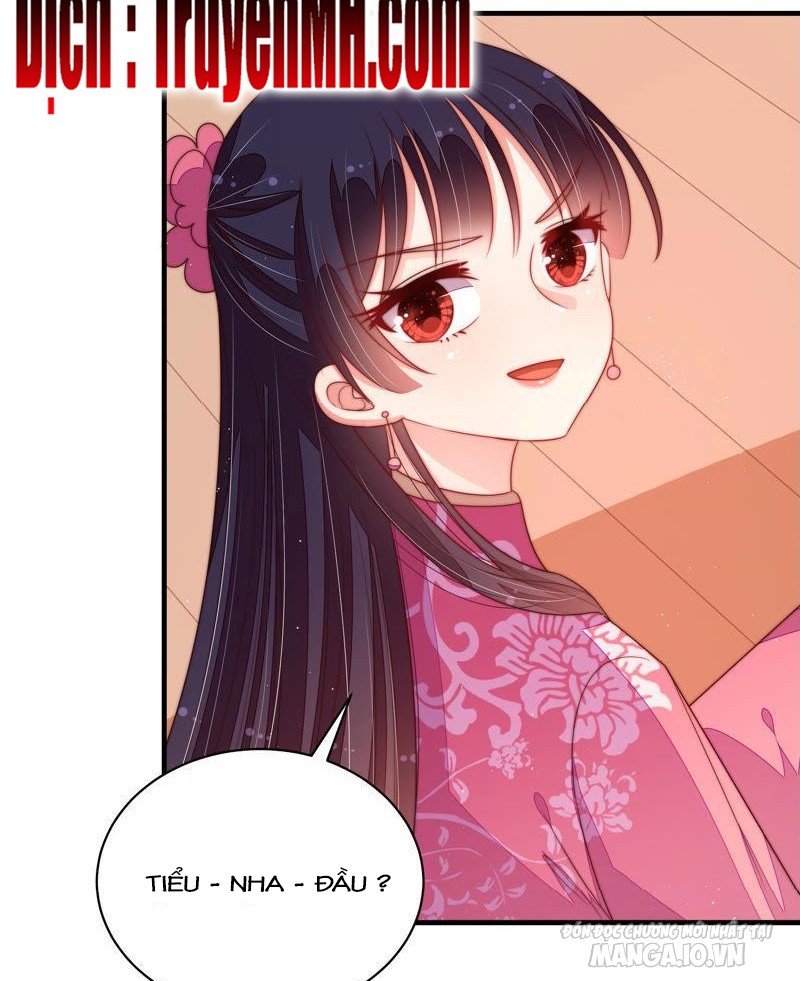 Ngày Nào Thiếu Soái Cũng Ghen Chapter 262 - Trang 2