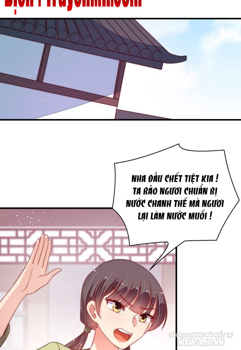 Ngày Nào Thiếu Soái Cũng Ghen Chapter 263 - Trang 2