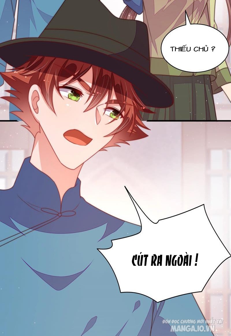 Ngày Nào Thiếu Soái Cũng Ghen Chapter 263 - Trang 2