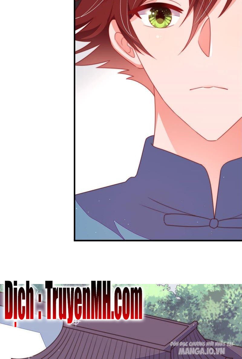 Ngày Nào Thiếu Soái Cũng Ghen Chapter 264 - Trang 2