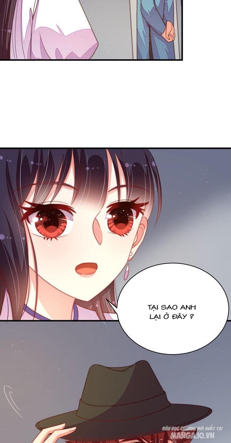 Ngày Nào Thiếu Soái Cũng Ghen Chapter 268 - Trang 2