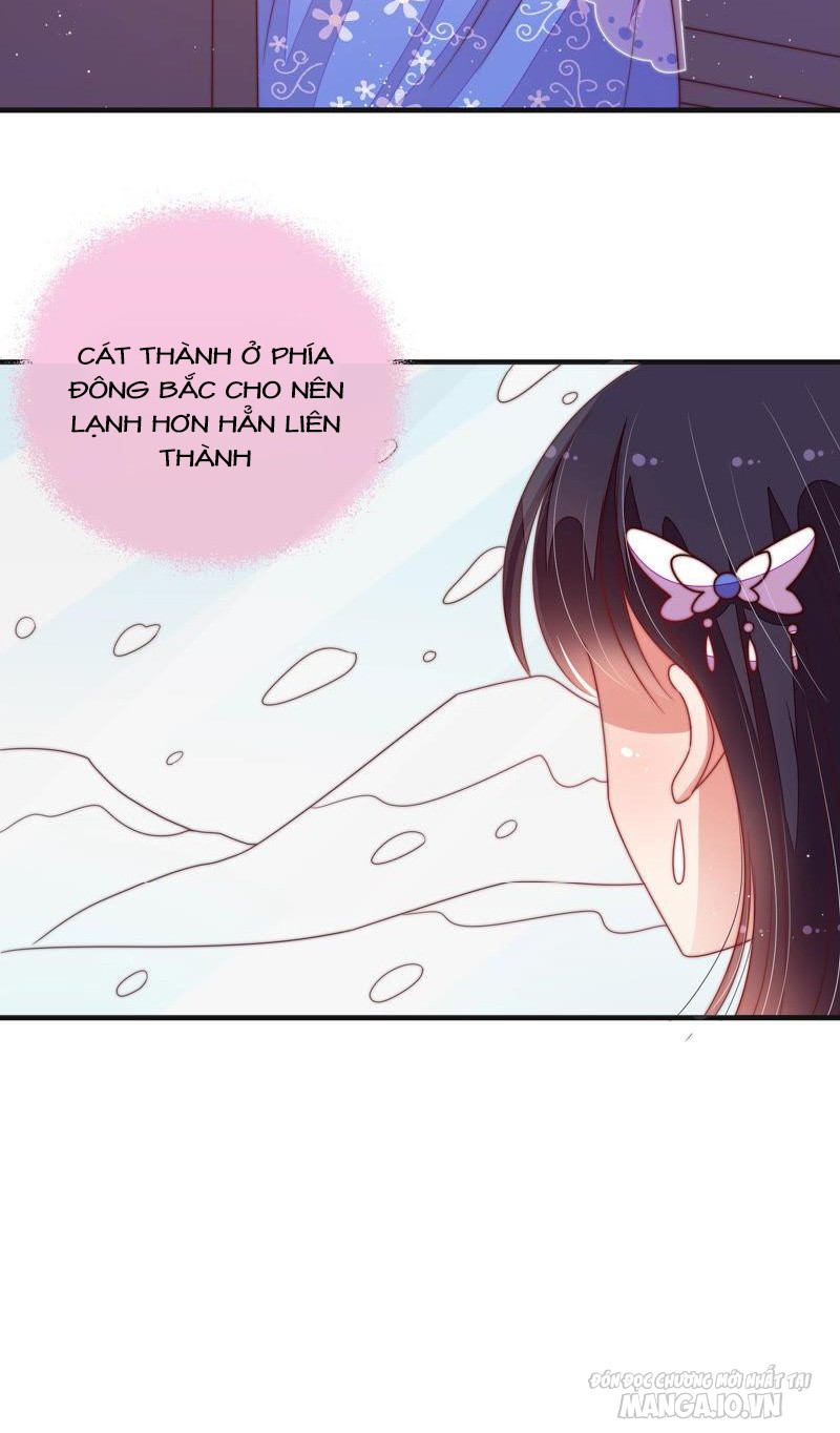 Ngày Nào Thiếu Soái Cũng Ghen Chapter 269 - Trang 2