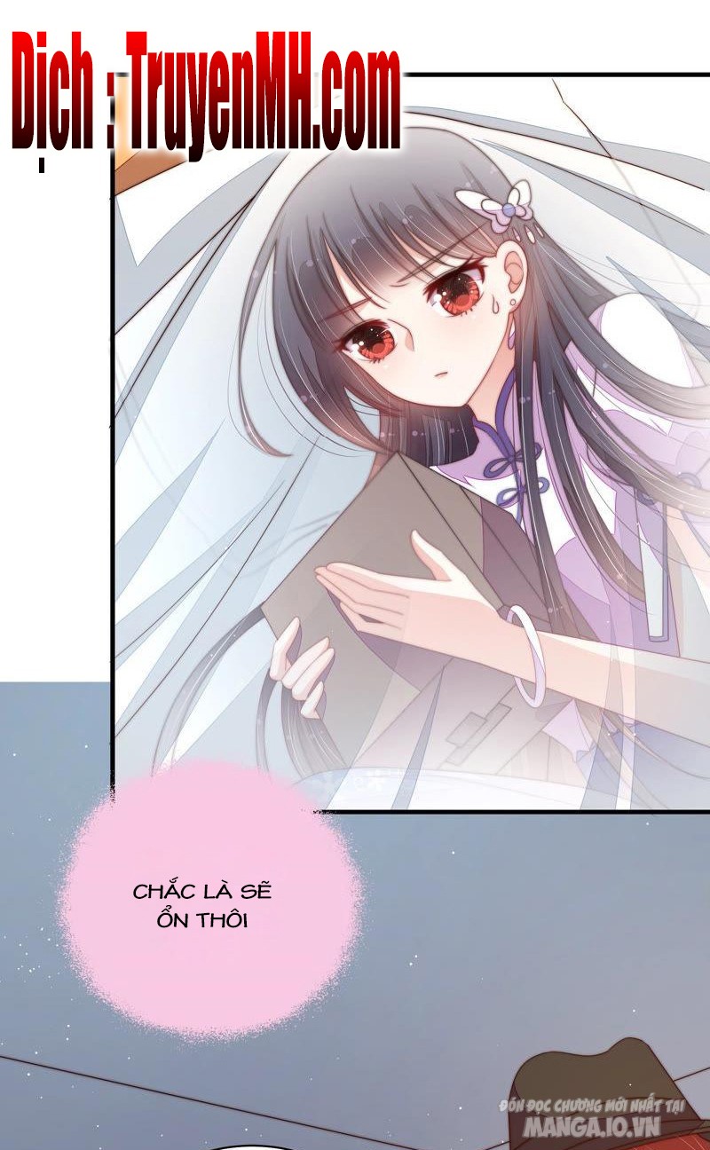 Ngày Nào Thiếu Soái Cũng Ghen Chapter 271 - Trang 2