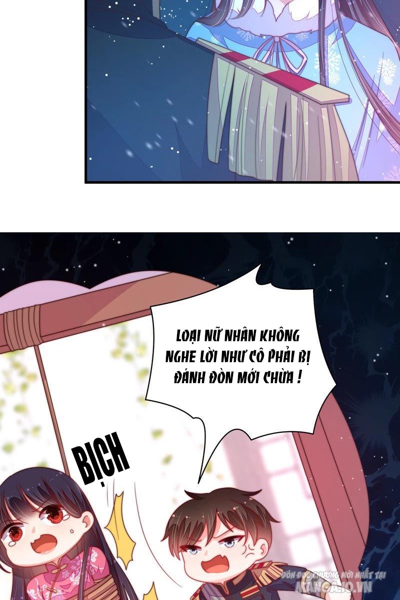 Ngày Nào Thiếu Soái Cũng Ghen Chapter 278 - Trang 2