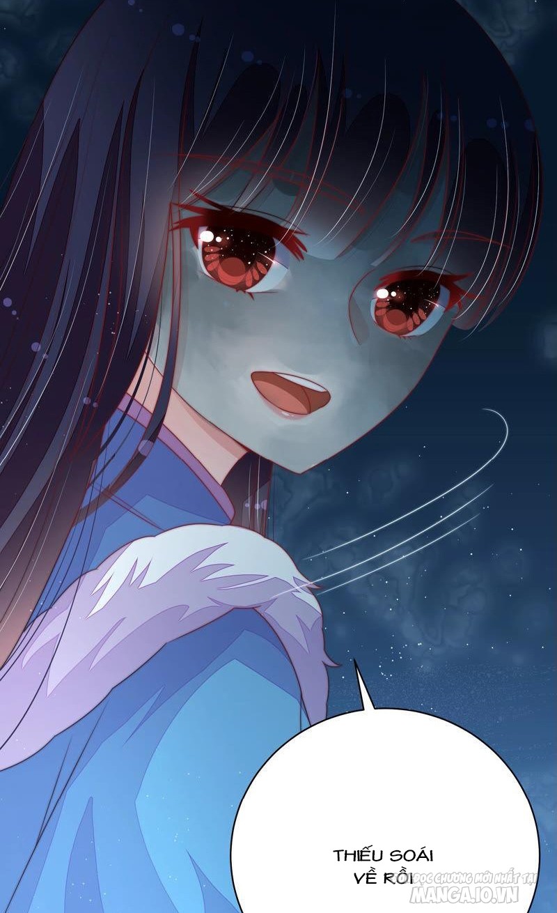 Ngày Nào Thiếu Soái Cũng Ghen Chapter 285 - Trang 2