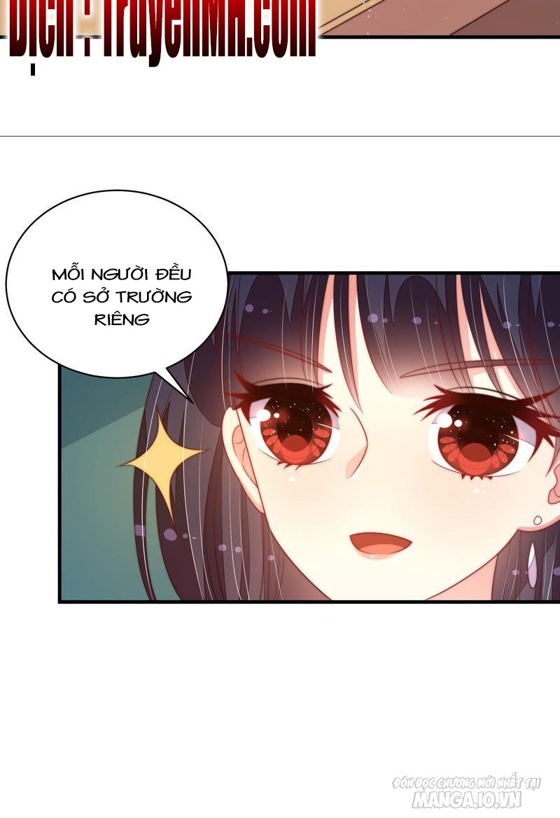 Ngày Nào Thiếu Soái Cũng Ghen Chapter 287 - Trang 2