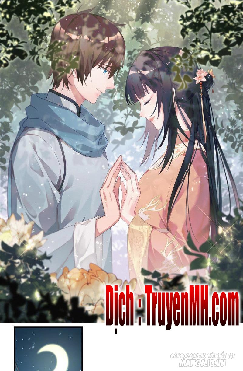 Ngày Nào Thiếu Soái Cũng Ghen Chapter 289 - Trang 2