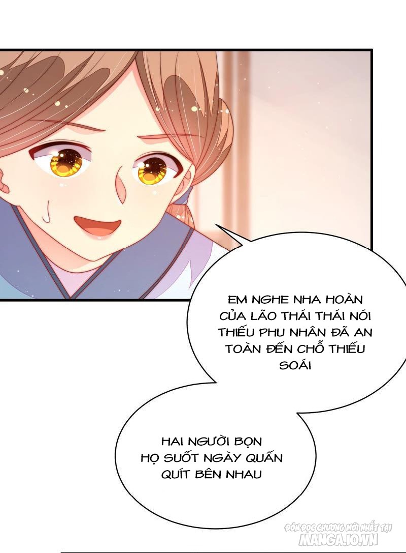 Ngày Nào Thiếu Soái Cũng Ghen Chapter 290 - Trang 2