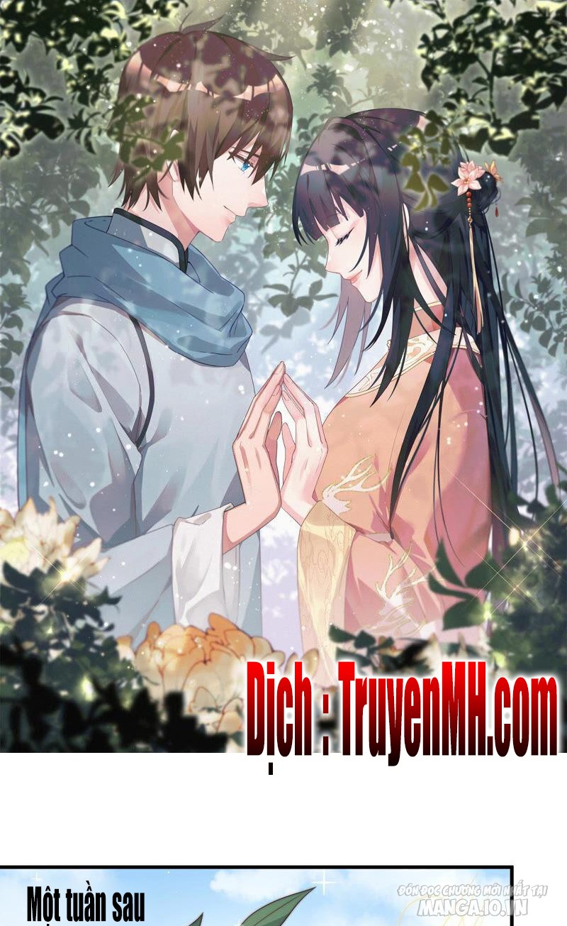 Ngày Nào Thiếu Soái Cũng Ghen Chapter 293 - Trang 2
