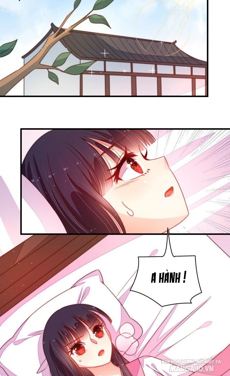 Ngày Nào Thiếu Soái Cũng Ghen Chapter 293 - Trang 2