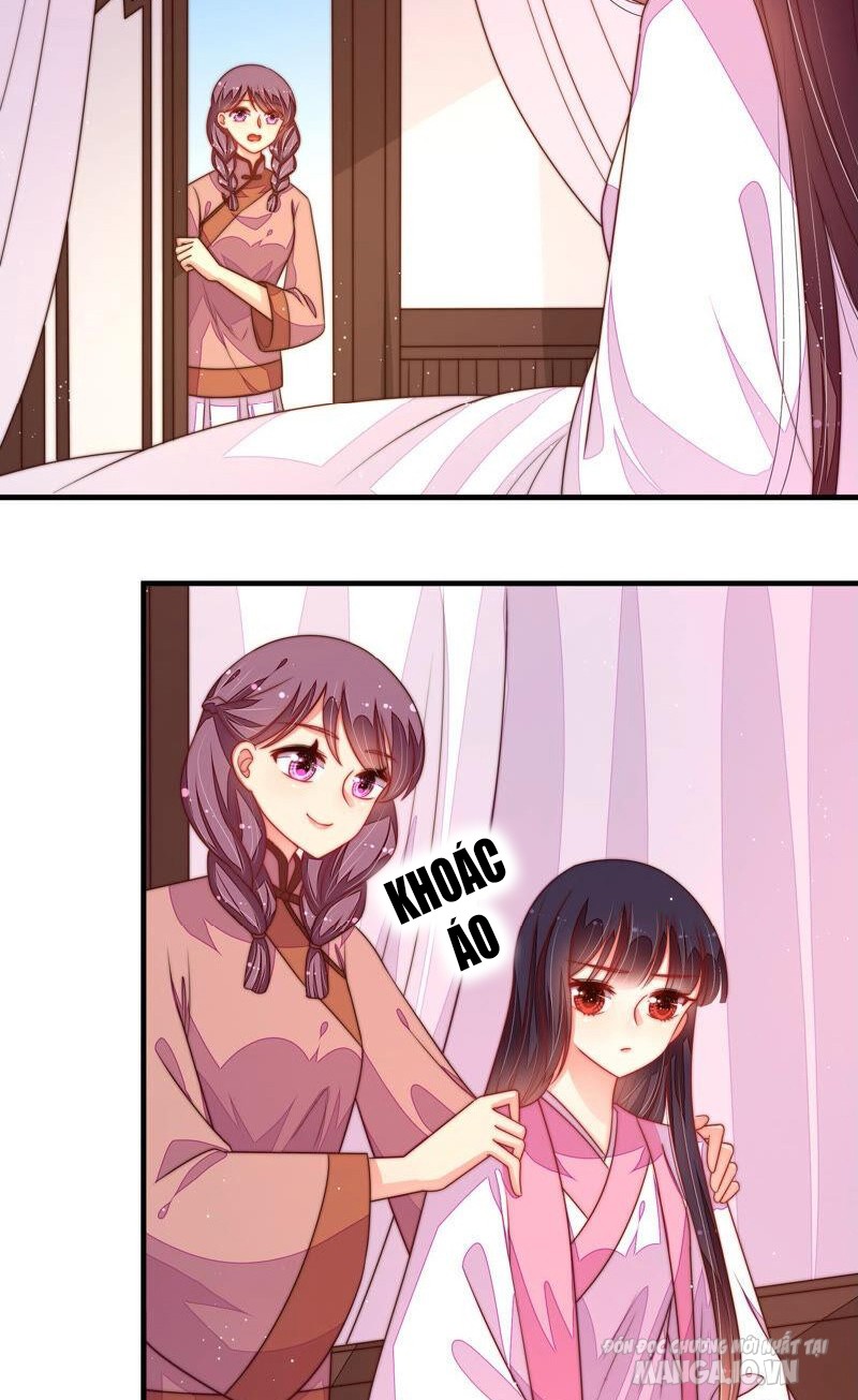 Ngày Nào Thiếu Soái Cũng Ghen Chapter 293 - Trang 2