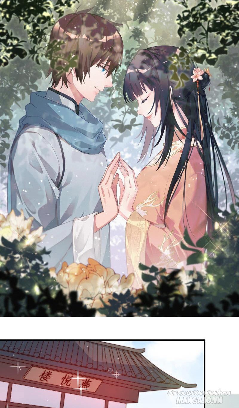 Ngày Nào Thiếu Soái Cũng Ghen Chapter 295 - Trang 2