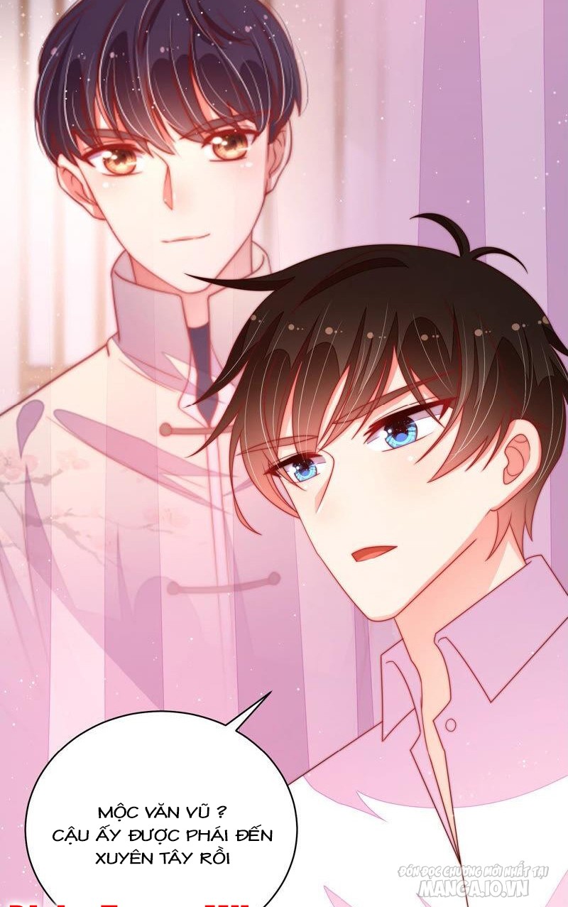 Ngày Nào Thiếu Soái Cũng Ghen Chapter 303 - Trang 2