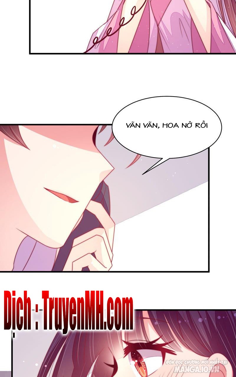 Ngày Nào Thiếu Soái Cũng Ghen Chapter 310 - Trang 2