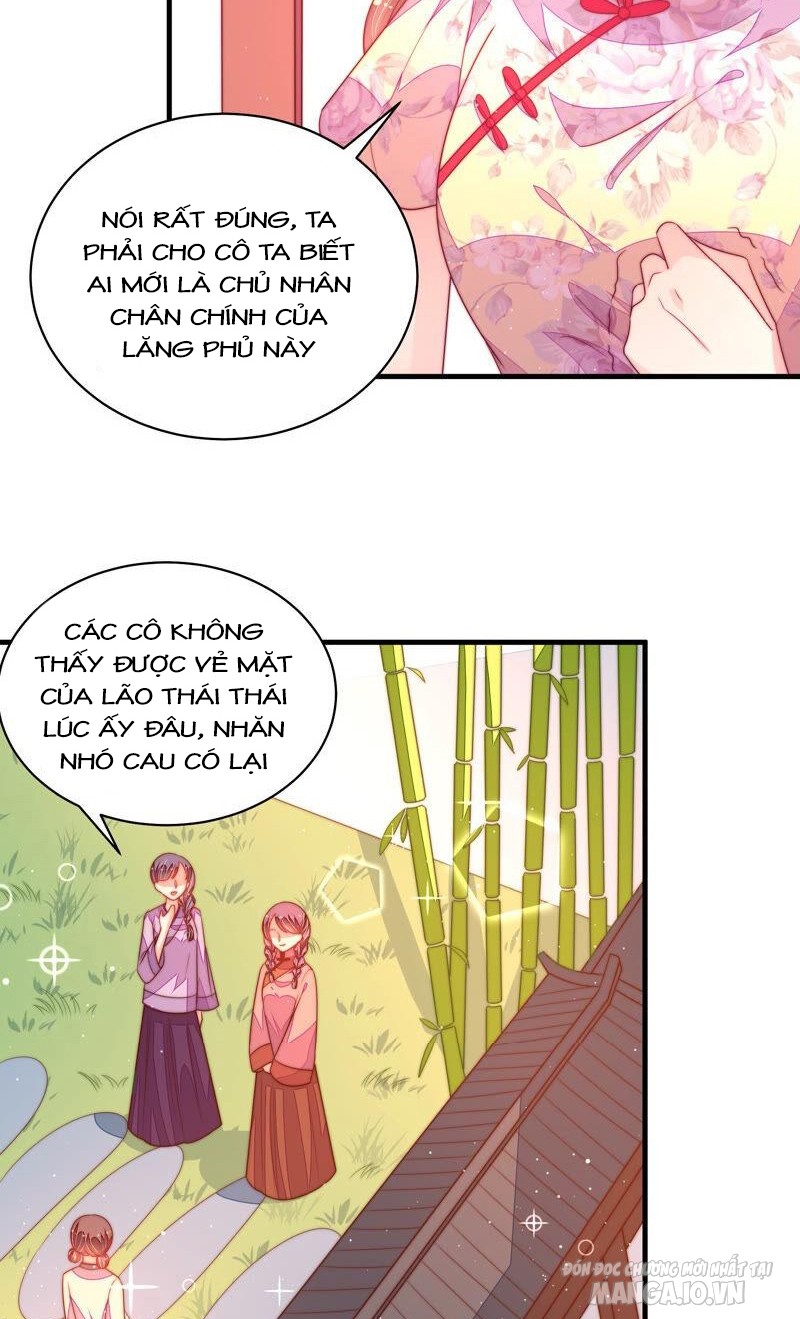 Ngày Nào Thiếu Soái Cũng Ghen Chapter 316 - Trang 2