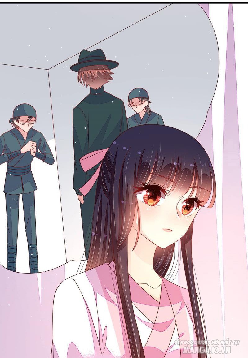 Ngày Nào Thiếu Soái Cũng Ghen Chapter 319 - Trang 2